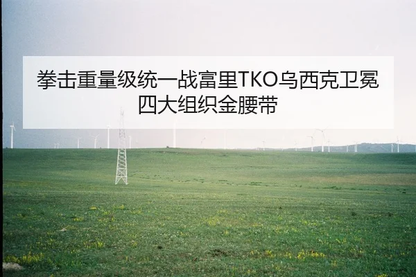拳击重量级统一战富里TKO乌西克卫冕四大组织金腰带