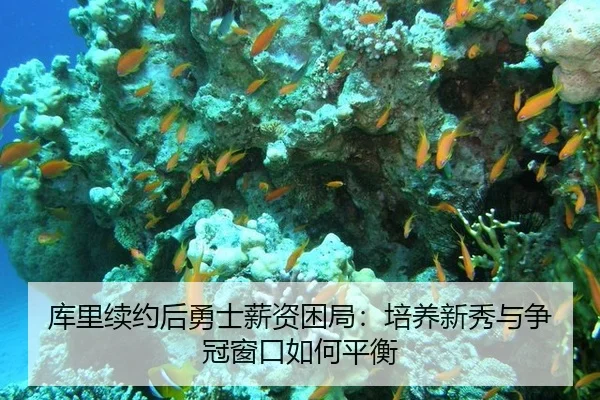 ku-li-xu-yue-hou-yong-shi-xin-zi-kun-ju-pei-yang-xin-xiu-yu-zheng-guan-chuang-kou-ru-he-ping-heng-2-495.jpg